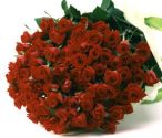 �����Ɋ�΂��v���[���g,����,��΂��,�v���[���g,�u�����h